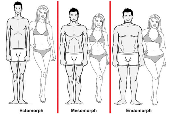 Mesomorph body type woman and man Royalty Free Vector Image