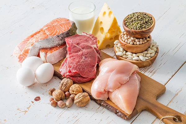 How High Protein Diets Work